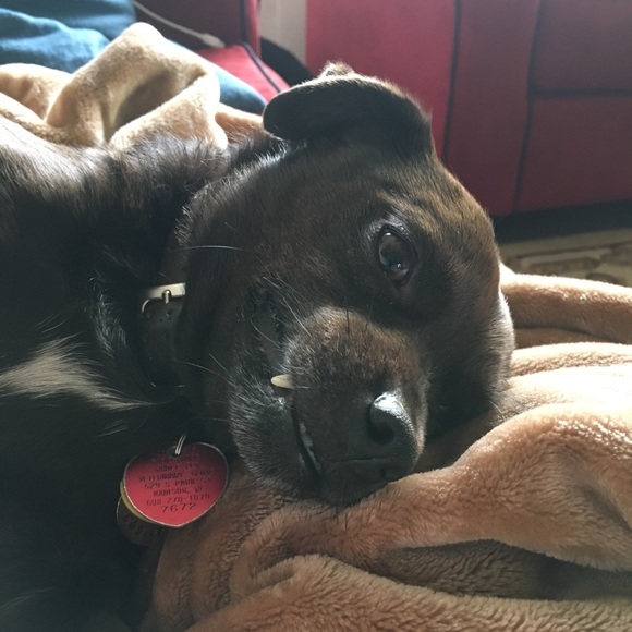 Meet your Posher, David - Picture 1 of 1